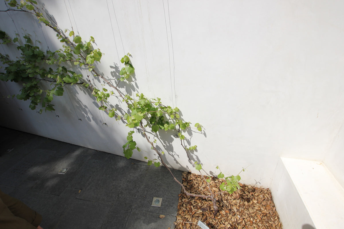 0B7F218F-7F94-459E-A731-