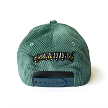 Load image into Gallery viewer, Monarch Butterfly Jumping Spider Corduroy Hat