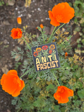Load image into Gallery viewer, Anti Fascist Sticker Poppy justice matte vinyl