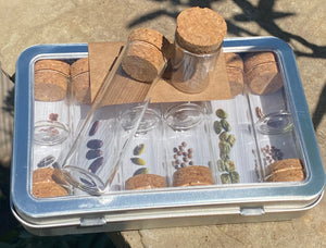 Seed Collecting Kit glass jars