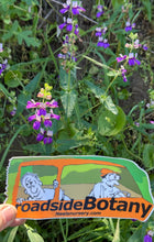 Load image into Gallery viewer, Neel's Stickers