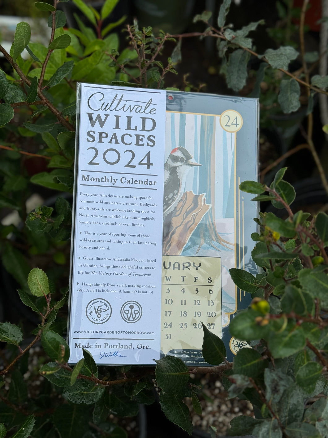2024 Wild Year Monthly Wall Calendar