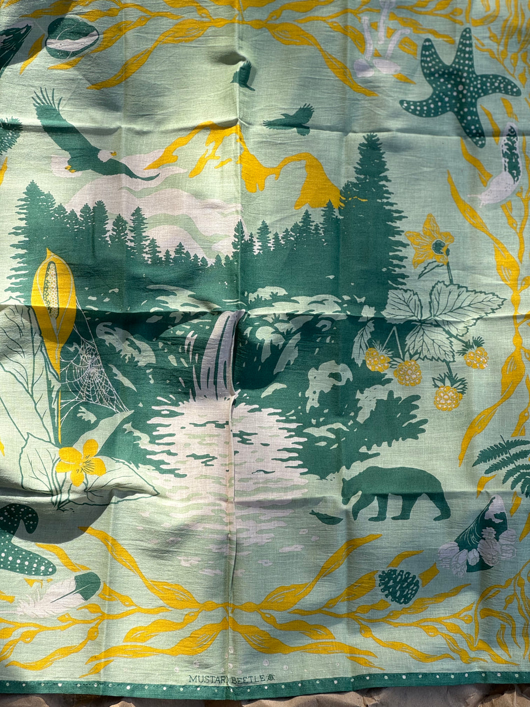 Organic Fair Trade Bandana: San Gabriel Foothills Datura  & Sphinx Moth