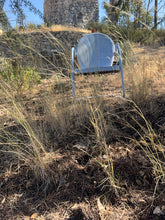 Load image into Gallery viewer, Stipa lepida Foothill Needlegrass