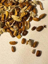 Load image into Gallery viewer, Salvia apiana White Sage &amp; Selections