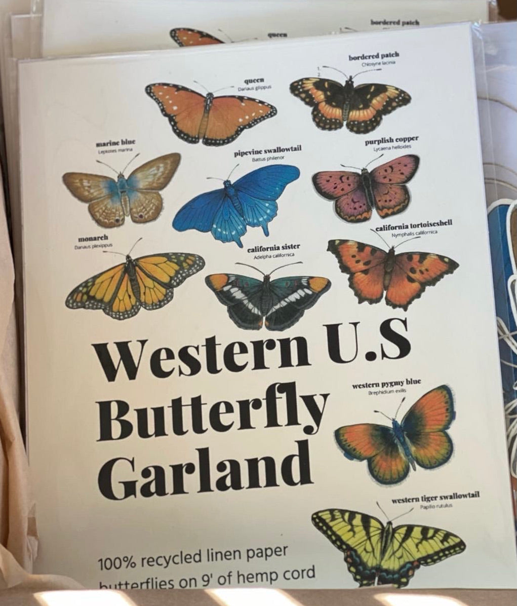 Western U.S. Butterfly Garland 10 butterflies 9' cord Monarch, Pipevin –  Neel's Nursery