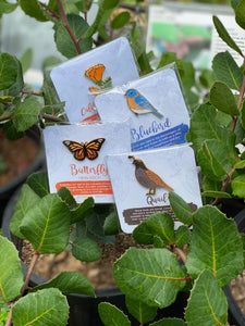 Enamel Pins : Quail - Monarch - Poppy - Bee - Hummingbird