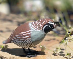 Hand Painted Wood Bird figures - Quail - Flicker - Woodpecker - Crow - Bluebird