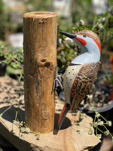 Hand Painted Wood Bird figures - Quail - Flicker - Woodpecker - Crow - Bluebird