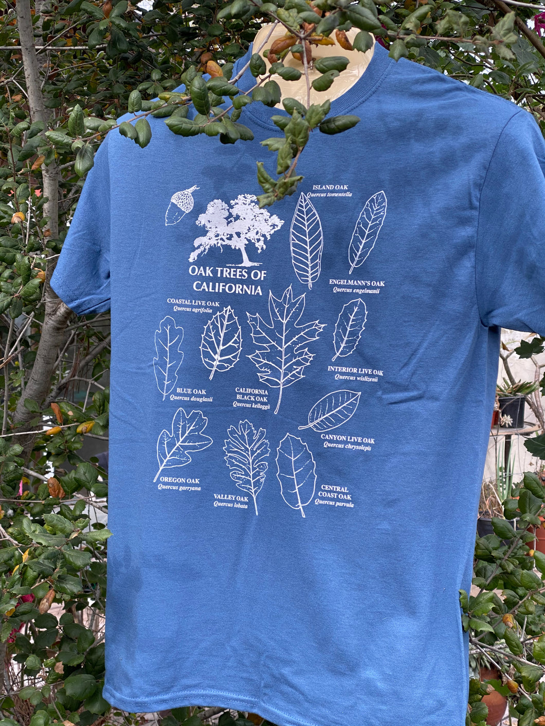 Oak Tree T-shirts by Fred Roberts