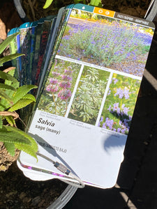 Native Plants for Southern California Gardens Book Card Deck