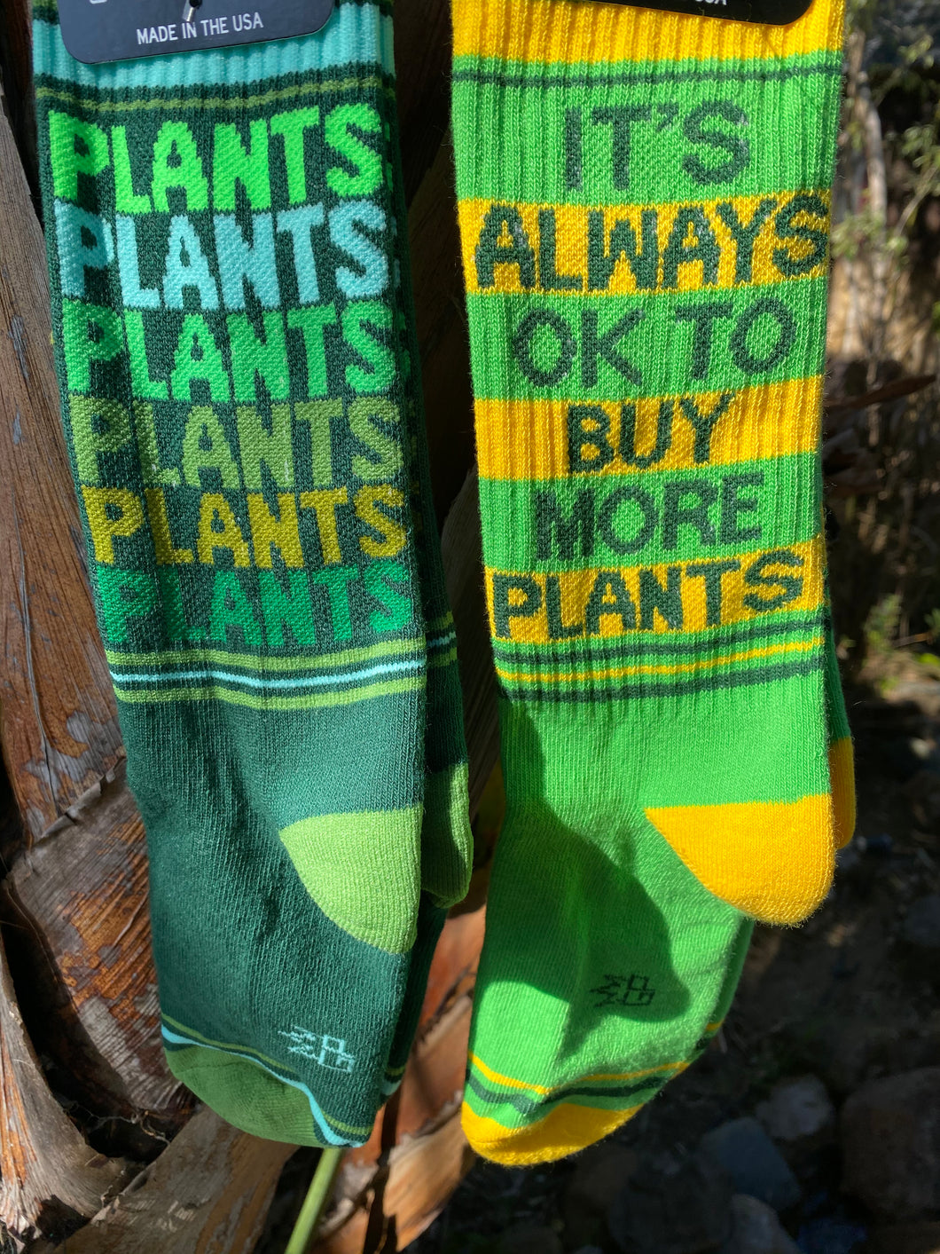 Plant Lover Socks Plant Nerd Bird Nerd